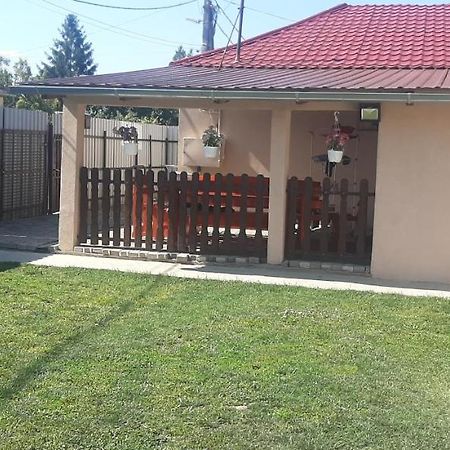 Apartament Viktoria Vendeghaz Miszkolc Zewnętrze zdjęcie